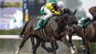 アジアエクスプレス産駒が2週続けて重賞V レパードS制したドンインザムードの血統背景を深掘り