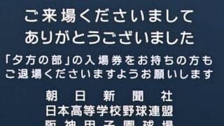 2部制期間、甲子園での熱中症疑いが減少　昨年より低い気温も影響か