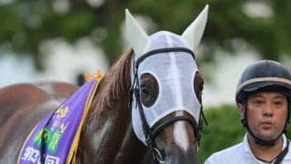 【クラスターC】高松「最高のレースをしたいと臨んだ」サンライズアムールが交流重賞初制覇