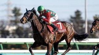 【札幌記念展望】データに該当するコスモキュランダが狙い目