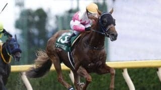 21年、22年の全日本ダート種牡馬ランキングで首位 血統表でよく見る名馬「ヘニーヒューズ」を深堀り