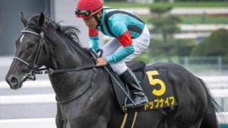 札幌記念で複勝率46％の横山典弘騎手 トップナイフで波乱を呼ぶか