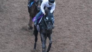 クロワデュノールなど、先週の入厩情報/栗東トレセンニュース