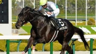 【札幌記念】青森産馬のJRA重賞制覇なら5年ぶり ハヤテノフクノスケが初タイトル狙う