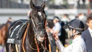 【札幌記念】セレクト5.1億円のショウナンアデイブ 史上最高額のJRA重賞勝ち馬となるか