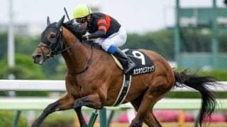 【札幌記念予想オッズ】ホウオウビスケッツが予想1番人気