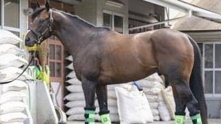 「良馬場ならかなり高い確率で首位争い」 馬体派記者が仕上がりにうなった中京記念出走馬とは  