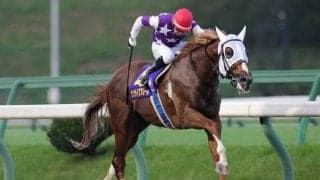 【クラスターC】小林師「ホッとしました」サンライズアムールが交流重賞初制覇