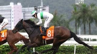 【中京記念展望】好走条件に合致するエルトンバローズが中心