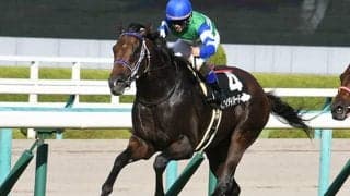 18番人気メイケイダイハードの激走 21世紀唯一の記録を残した中京記念から5年