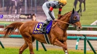 アロヒアリイが「伝統のG2」ギヨームドルナノ賞に参戦 23年覇者のエースインパクトが凱旋門賞V