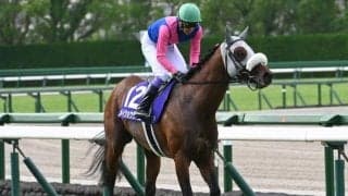 「アイドルホースオーディション2025」ファイナリスト8頭が決まる メイショウタバルやフォーエバーヤングなど