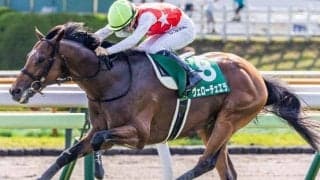 【札幌記念】ヴェローチェエラが史上3頭目の偉業に挑戦 函館記念との同年ダブル制覇なるか