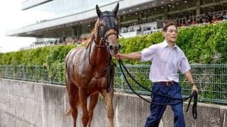 【中京記念】横山武史騎手が中京で重賞初制覇なるか マピュースと初コンビで参戦だ