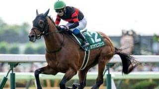 【札幌記念予想】臨戦過程も素直に評価 AIは実績上位の注目馬を指名
