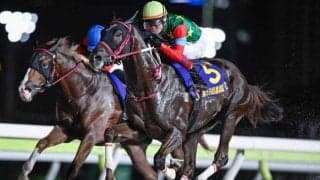 【大井・黒潮盃結果】マウンテンローレルが5連勝で重賞初制覇