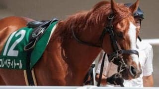 【中京記念】井上敏樹騎手が重賞初制覇なるか コレペティトールで一発狙う