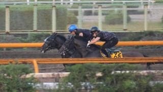 クロワデュノール、仏遠征に向けて追い切り開始/栗東トレセンニュース