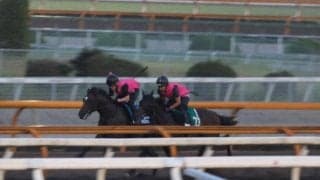 ラムジェット、コリアCに向けて追い切り開始/栗東トレセンニュース