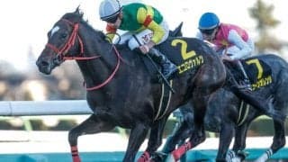 【中京記念出走馬・騎手確定】エコロヴァルツ＆坂井瑠星騎手、ウォーターリヒト＆菅原明良騎手など12頭