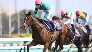 一族に世界的名馬がズラリ 国枝栄厩舎のジャストマイウェイがデビュー勝ちなるか