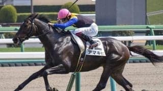 【阿賀野川特別】母は三冠牝馬のアパパネ アマキヒが負けられない始動戦だ