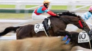 【新潟JS】来年定年の佐々木晶三調教師 インプレスでJRA全10場重賞制覇なるか