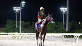 【黒潮盃】マウンテンローレル快勝…前年比増で盛況