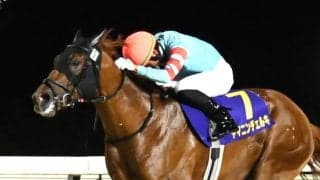 【北海道スプリントC】石川倭「ずっと余裕はあった」ヤマニンチェルキが交流重賞初制覇