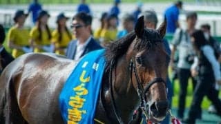 【中京記念枠順確定】キープカルムは8枠11番、エコロヴァルツは6枠8番