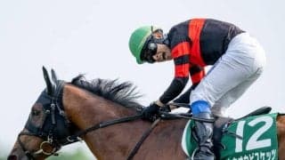 【札幌記念枠順確定】ホウオウビスケッツは3枠5番、ステレンボッシュは4枠8番