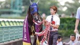 【新潟JS枠順確定】ホッコーメヴィウスは6枠10番、サイードは6枠9番