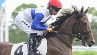 【小樽特別】全兄はGI・2勝のダノンスマッシュ ハリウッドメモリーが待望の2勝目なるか