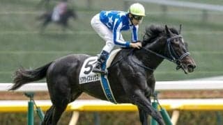 【新潟2歳S想定馬・騎手】リアライズシリウス、タイセイボーグなど10頭