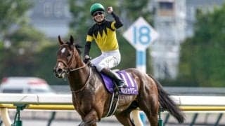 【キーンランドC想定馬・騎手】パンジャタワー、ウインカーネリアンなど19頭