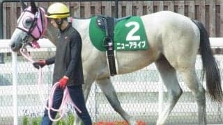札幌芝はサドラーズウェルズ系に要注意 コスモス賞はニューアライブが波乱呼ぶか