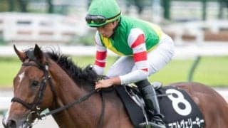 【高山S】ディープインパクト系が複勝率50％ 狙いは外枠がベター