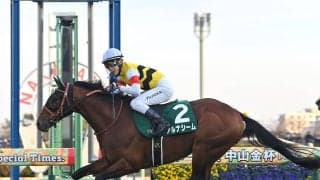 【競馬予想】夏唯一のＧⅡ、札幌記念で見るべき血統は？　特殊な洋芝コースを駆け抜けそうな２頭をピックアップ