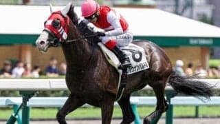 【石狩特別】セレクト3.1億円のショウナンバルドル 芝に戻って待望の2勝目なるか