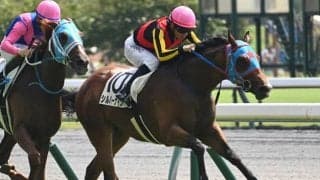 【中京2R新馬戦結果】ミッキーアイル産駒シルバーナイツが人気2頭の競り合いを制す