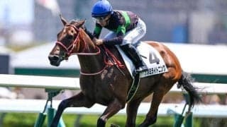 【札幌5R新馬戦結果】ビッグアーサー産駒ナオミライトニングが好位抜け出しV