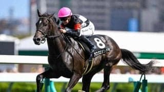 【コスモス賞結果】アスクエジンバラが人気に応えて2連勝