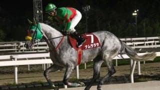 【園田・摂津盃】9番人気ナムラタタ、吉村智洋騎手の好騎乗で重賞初V！…石橋満調教師、地元兵庫で待望の重賞制覇