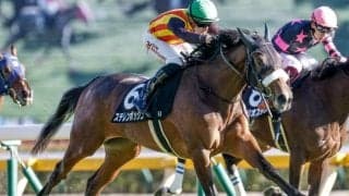 【札幌記念予想】前走からの一変には期待できず!? キャリアの浅さも気がかりな人気馬とは