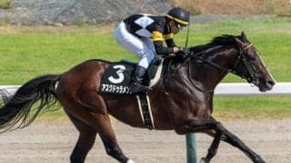 【NST賞】母は米G1で2勝 アスクドゥラメンテが悲願のOP勝ちなるか