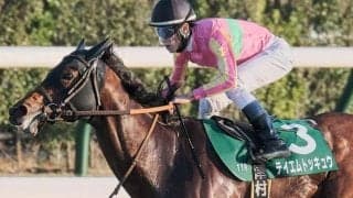 新潟ダートは前が止まらない NST賞はテイエムトッキュウの逃げ切りだ