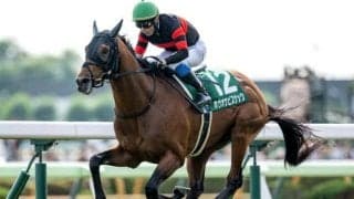 【AI予想・札幌記念】飛躍の秋へここは負けられない！ 海外出走も視野に入れている人工知能の本命馬