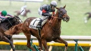 【仏・ギヨームドルナノ賞結果】日本のアロヒアリイが逃げ切り完勝！ 海外で重賞初制覇