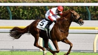 【英インターナショナルS】ダノンデサイル、追い切り順調に消化