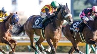 【札幌記念予想】夏競馬の大一番 秋GI見据える実績馬が始動
